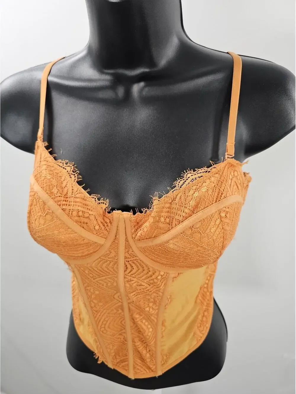 Garage Orange Mesh & Lace Bustier Corset Top - Picture 4 of 12